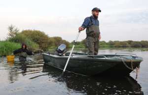 Planète (France) - Climat: Un mois d'actions pour défendre les zones humides, victimes de l'urbanisation