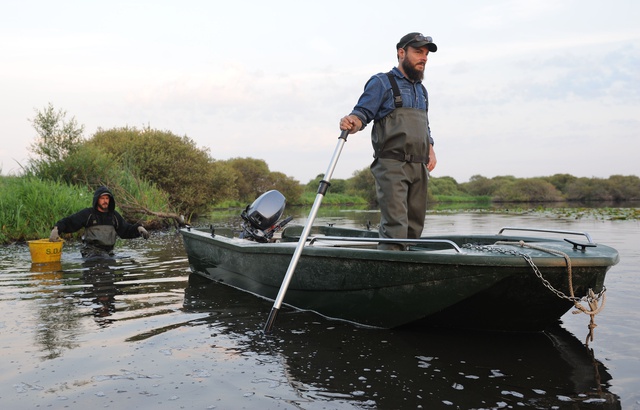 Planète (France) - Climat: Un mois d'actions pour défendre les zones humides, victimes de l'urbanisation
