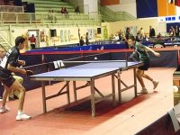 Circuit mondial de tennis de table : fortunes diverses pour les pongistes algériens
