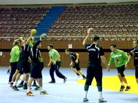 Tournoi pré-olympique de handball 2012 : les 