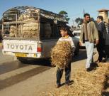 استرجاع 600 رأس ماشية مسروقة بغرداية                                    بعد بلاغ تقدم به موّال للدرك