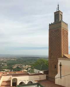 Un patrimoine vivant dans une ville musée... !