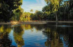 Biskra ,   Jardin Landon   ... !