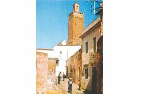 VIEUX BÂTI À NÉDROMA (TLEMCEN):  Lancement d’une opération de restauration