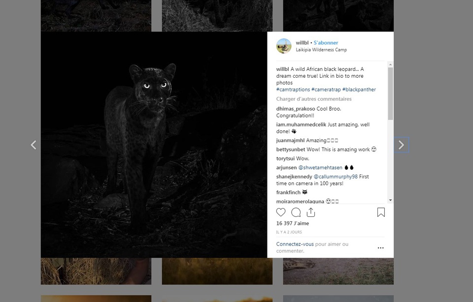 Planète - Ethiopie: Un léopard noir photographié pour la première fois depuis plus de cent ans