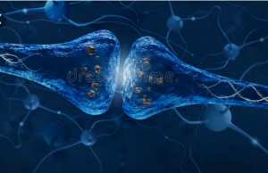 Le Manque De Sommeil : Votre cerveau peut-il se manger lui-même ?