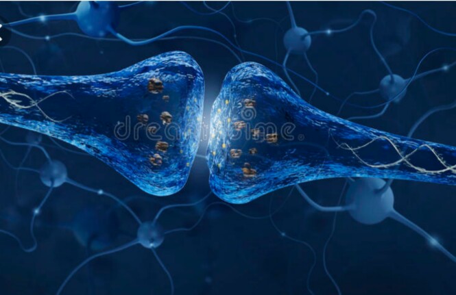 Le Manque De Sommeil : Votre cerveau peut-il se manger lui-même ?