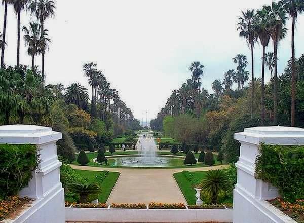 Les Jardins d'Alger... !
