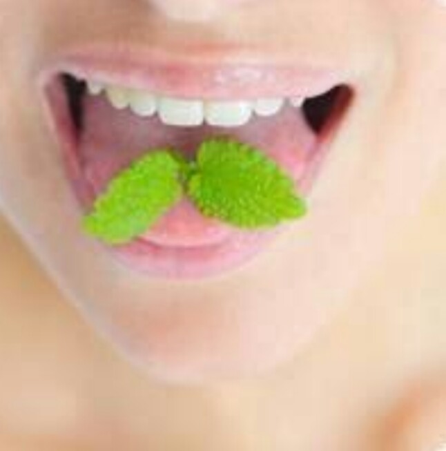 5 méthodes naturelles contre la mauvaise haleine