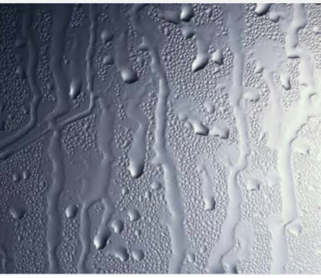 Les effets de l’humidité sur la santé