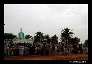 Inauguration de l’exposition « Héritages culturels immatériels en Afrique » à Alger