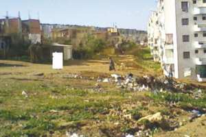 ESPACES VERTS ET LIEUX DE DÉTENTE À BOUIRA:  Entre détérioration et abandon