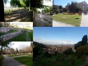 L’aménagement des espaces verts en Algérie, un aménagement qui manque du goût !