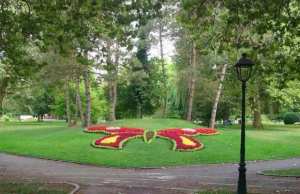 Tlemcen - RÉHABILITATION DES ESPACES VERTS: La pépinière d’El Hartoun renaît de ses cendres