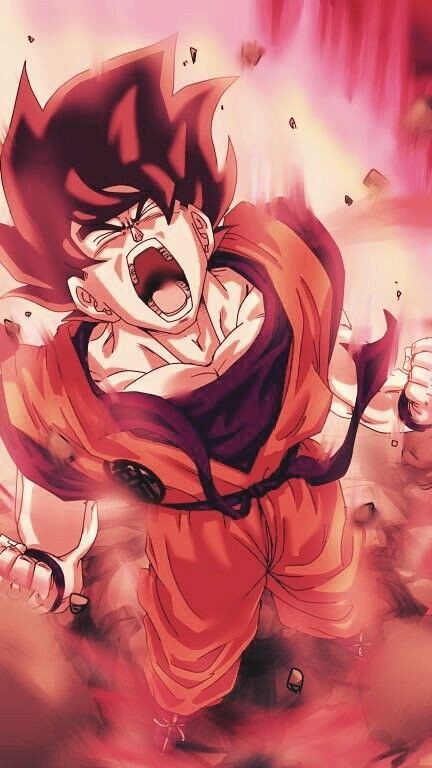 les réseaux sociaux