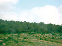 Barrage vert                                    Vers sa réhabilitation '