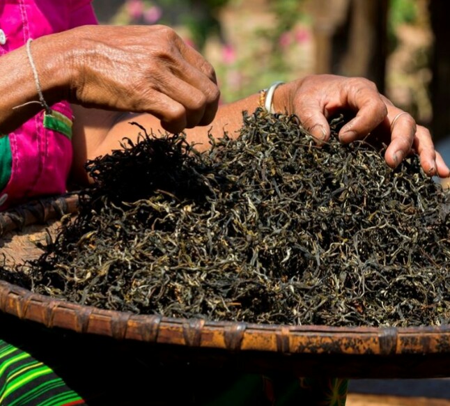 Le thé : une solution naturelle pour lutter contre l’excès de cholestérol