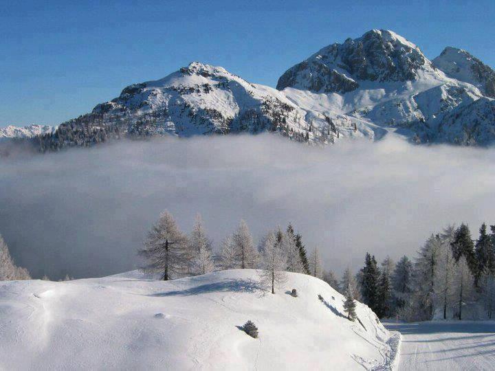 Un site paradisiaque au pied de l'Ouarsenis... !