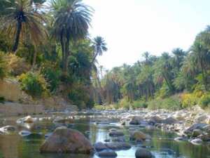 Biskra la Porte du sahara