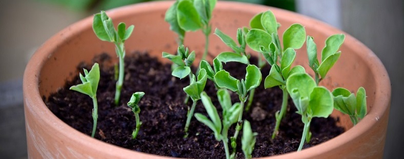 3 clés pour réussir votre projet d’évolution