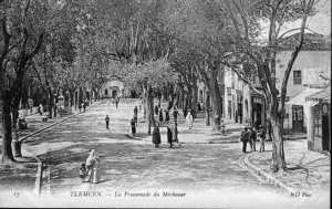 Tlemcen, une histoire riche et séculaire