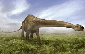 16 عامًا بعد اكتشافها.. أين اختفت ديناصورات الجزائر؟