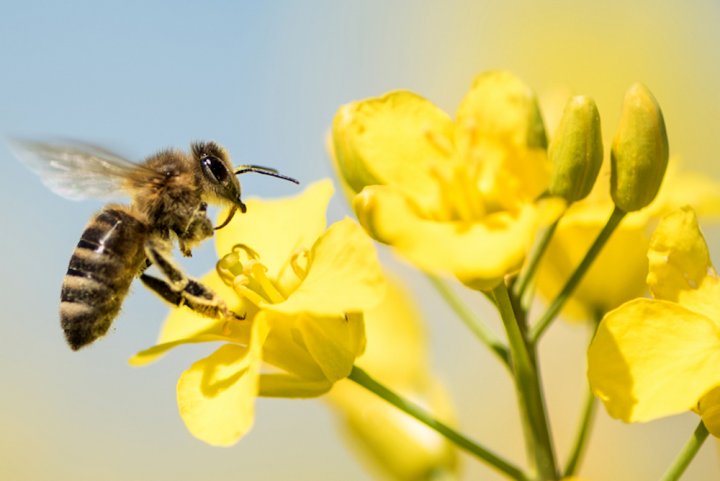 Pour une planète viable, arrêtons la 5G