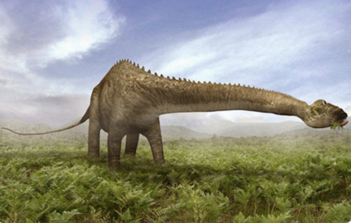 16 عامًا بعد اكتشافها.. أين اختفت ديناصورات الجزائر؟