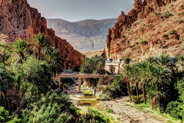 Premier salon de la photographie à Biskra.. L’art et la technique à l’honneur