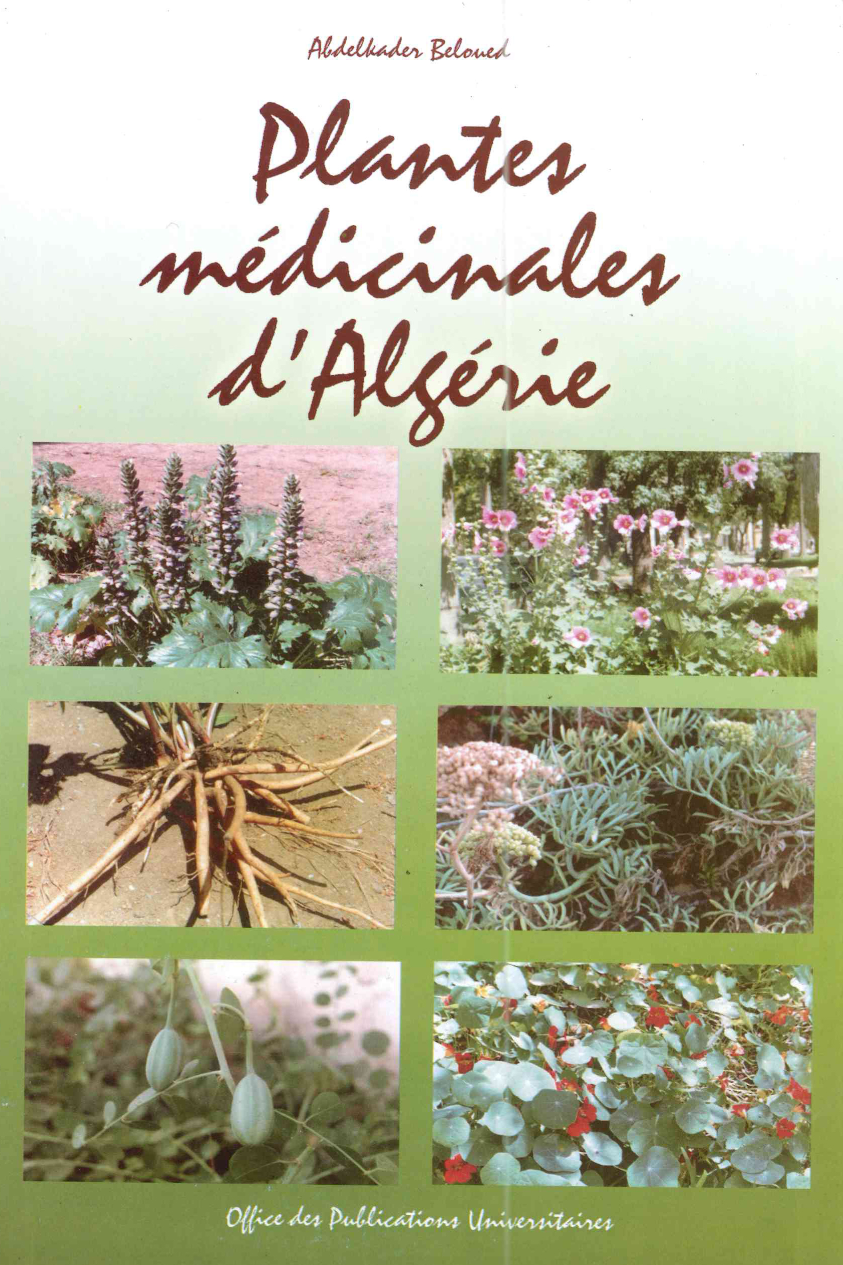 Bibliographie Algérie : Plantes médicinales