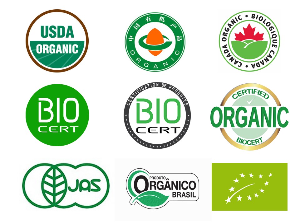 فهم شهادة العضوية