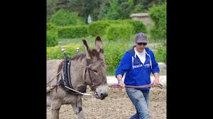 Aïn Temouchent -  Et si la permaculture était l'avenir agricole de l'Algérie ?
