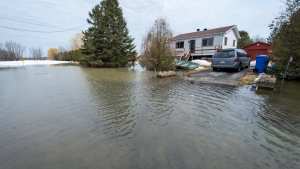 الاحتياطات قبل الفيضانات وبعدها