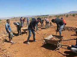 Ath Mansour Elle est organisée lors du dallage des habitations Tiwizi, une tradition ancestrale en  béton  !