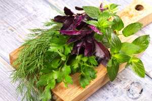 Persil, menthe, basilic : les secrets des plantes aromatiques (riches en vitamine C)