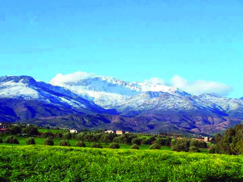 Parc National du Djurdjura : Projets d’agriculture de montagne Relance des activités ancestrales au Djurdjura