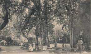 Miliana (Ain Defla) - Projet de réhabilitation de l’historique Jardin public