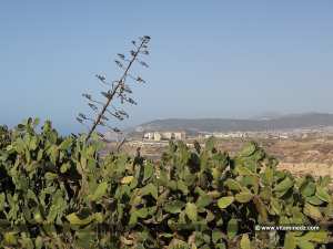 Liste des Villages de la Wilaya de Tlemcen