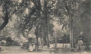 Miliana (Ain Defla) - Projet de réhabilitation de l’historique Jardin public