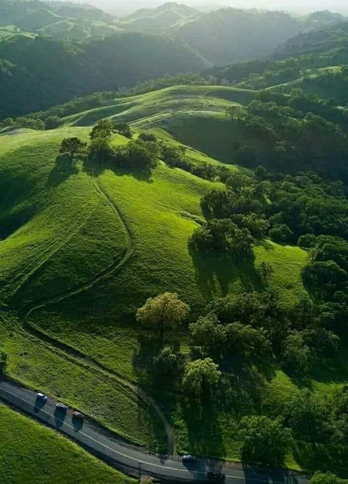 Agriculture à Mila...!