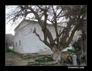 كتاب الأموال  لأبي جعفر أحمد بن نصر الداوودي