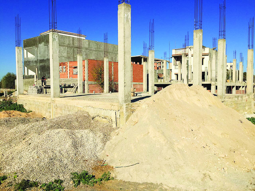 Le cri d’alarme de douze propriétaires terriens à Tlemcen : «Nous avons été spoliés par une bande mafieuse !»