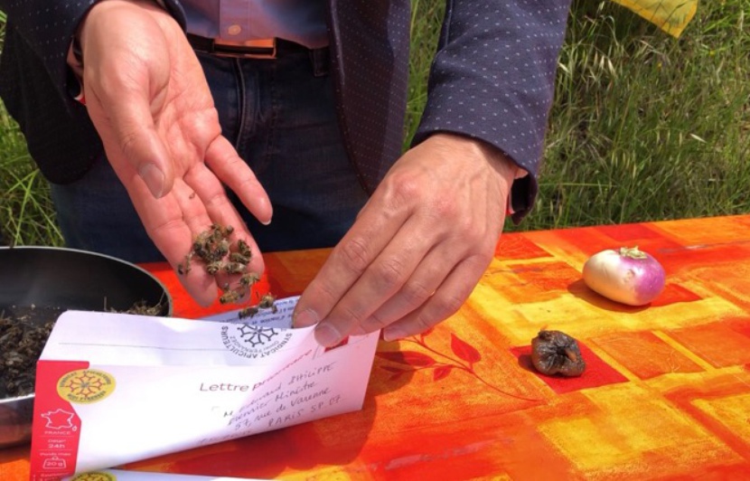 Planète - Toulouse (France): Les apiculteurs ont le bourdon, ils envoient des cadavres d'abeilles à Macron