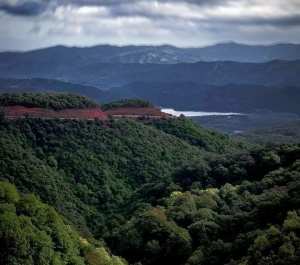 L’apiculture pour préserver les zones humides en Algérie... !
