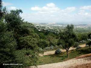 LA ROSE BLANCHE ET LA QOTBIYA DE SIDI CHOUAIB ABY MADYAN ENTRE LES HAUTEURS D'AL EUBBAD ET AIN TAQBALET