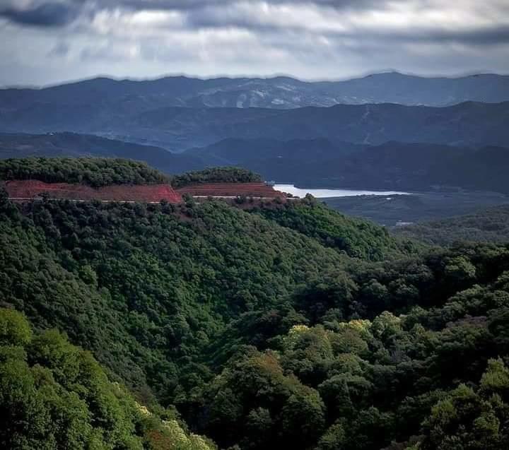 L’apiculture pour préserver les zones humides en Algérie... !