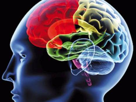 2e Congrès international de neurosciences à Alger                                    Actualité : les autres articles