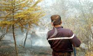 Lancement de la campagne nationale de prévention et lutte contre les feux de forêts