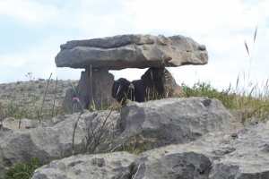 Ouled Rahmoune (Constantine) -  Un site archéologique en danger  Les Dolmens de Bounouara