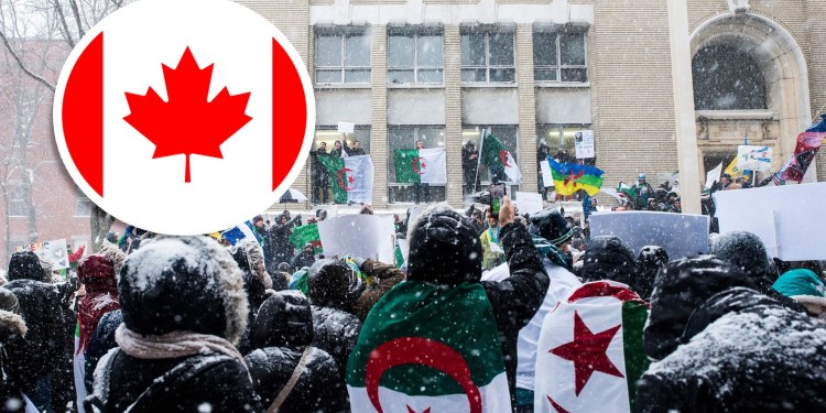 Voici le nombre d’Algériens établis au Canada